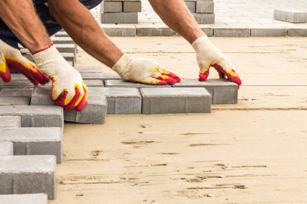 Best Local Driveway Pavers  in Park Forest, IL