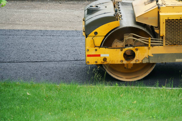 Best Residential Driveway Paver Services  in Park Forest, IL