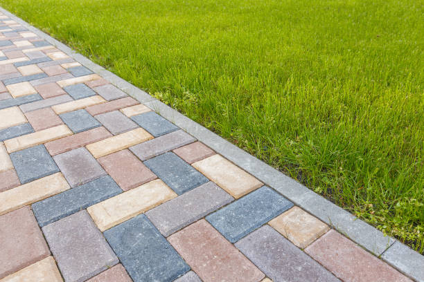 Best Commercial Driveway Pavers  in Park Forest, IL